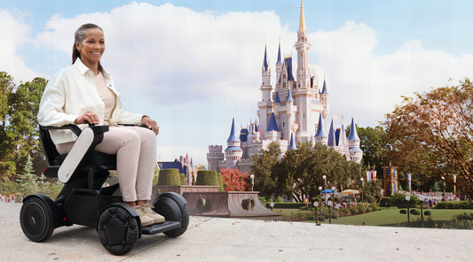 Top 10 ADA-Accessible Travel Destinations in North America