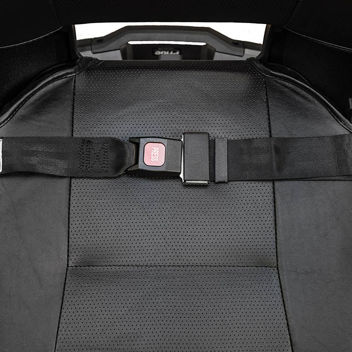 Pride Lap Belt Image 1